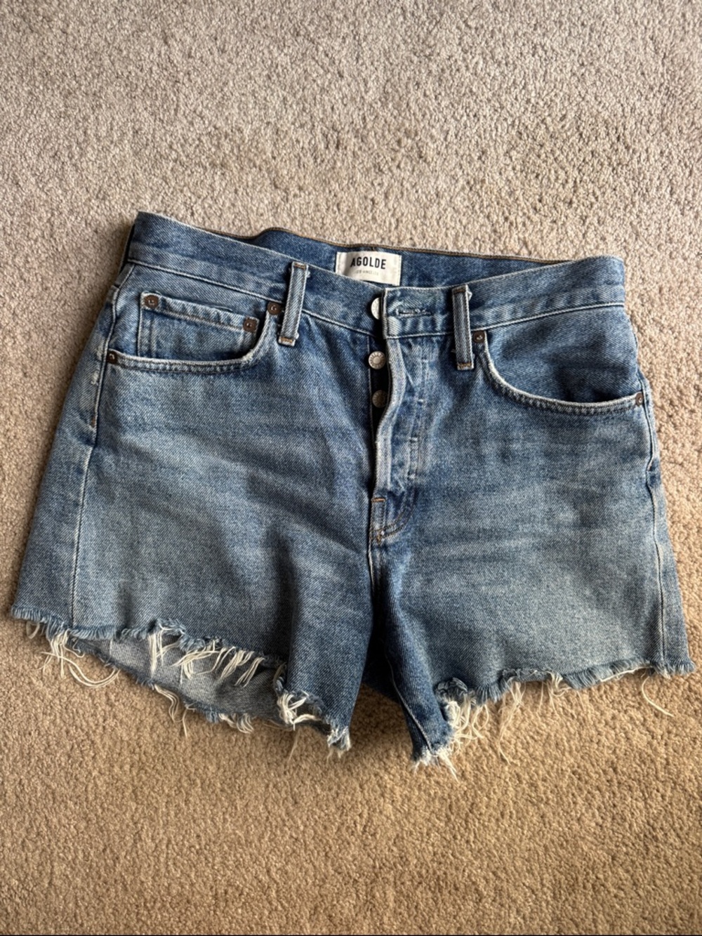 AGOLDE Parker Shorts 26